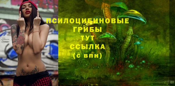 дмт Белокуриха
