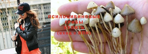 дмт Белокуриха