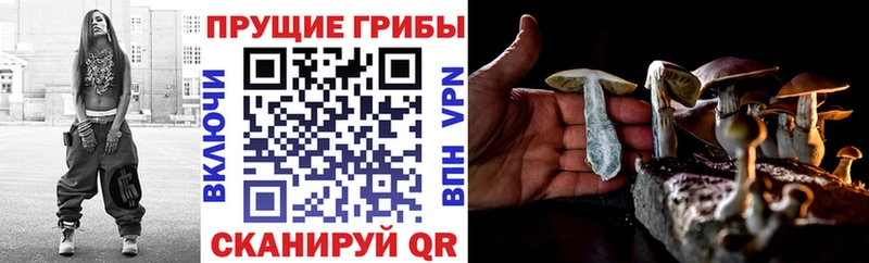 kraken зеркало  Ясногорск  Псилоцибиновые грибы ЛСД  купить наркотики сайты 